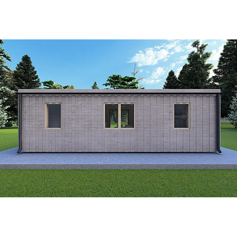 Mobilheime VISION 2 mit Veranda 8x6 60/100/30/40 mm, Rückansicht Farbe Holzgrau