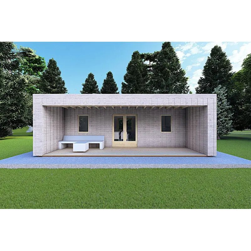 Mobilheime VISION 2 mit Veranda 8x6 60/100/30/40 mm, Frontansicht Farbe Holzgrau