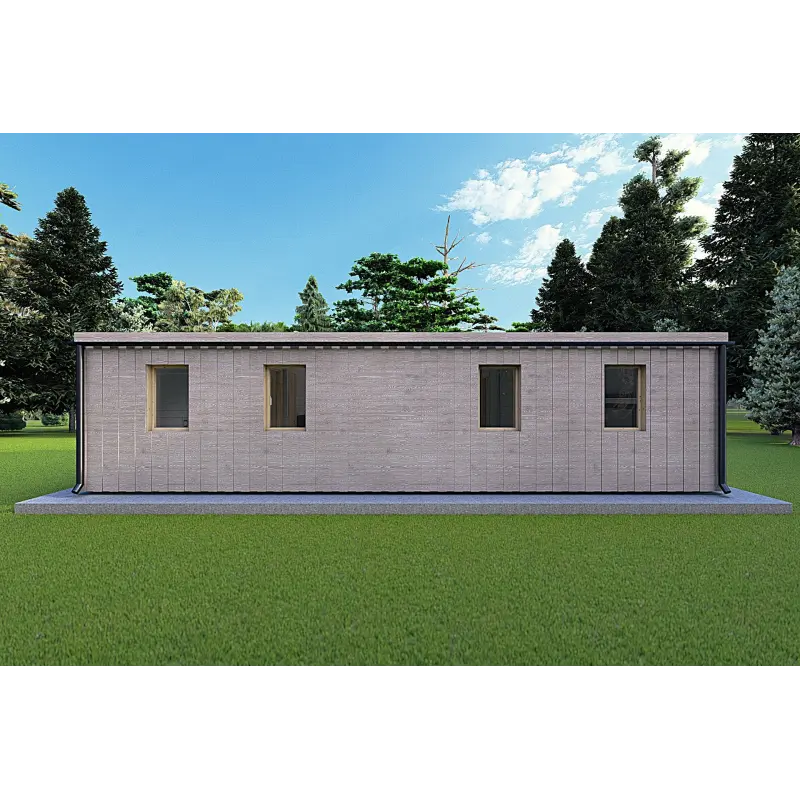 Mobilheime VISION 3 mit Veranda 10x6 60/100/30/40 mm, Rückansicht Farbe Holzgrau